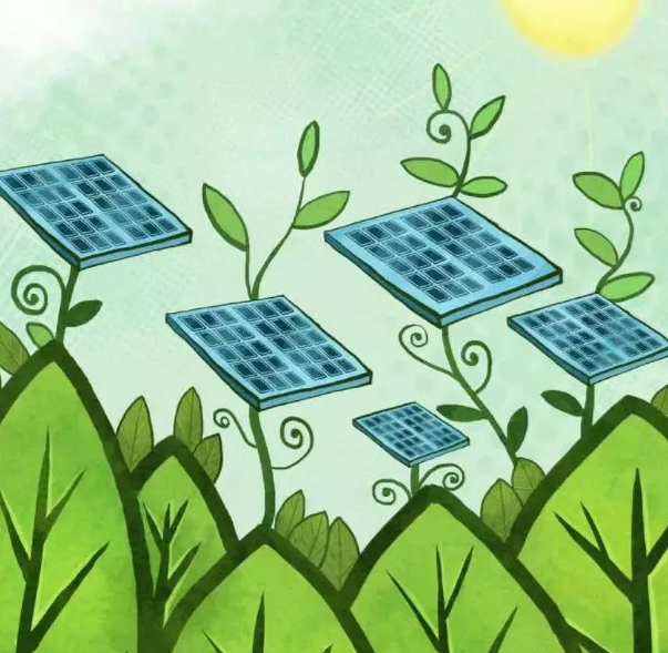 村里安裝了光伏發(fā)電設(shè)備親戚來(lái)圍觀看(圖1) 光伏發(fā)電設(shè)備價(jià)格及壽命